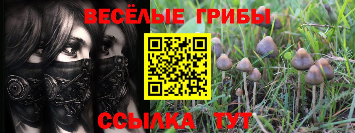 цены наркотик  Вход с VPN  Кызыл  Псилоцибиновые грибы мицелий 