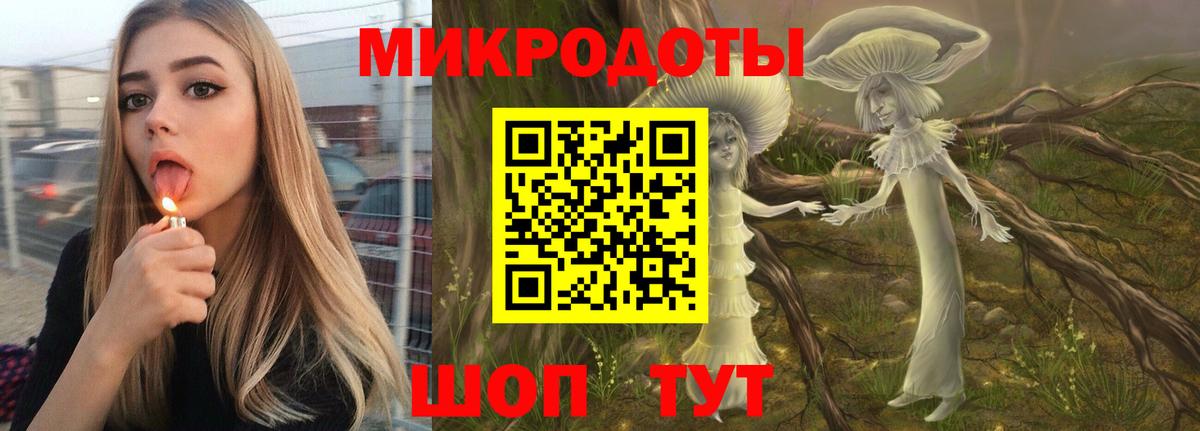 Галлюциногенные грибы Psilocybine cubensis Кызыл
