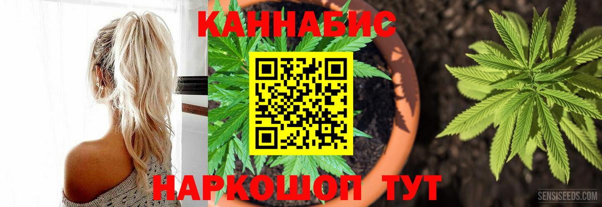 Каннабис Ganja Кызыл